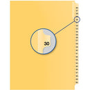 Davis Group Index Divider B14030