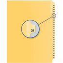 Davis Group Index Divider B14031