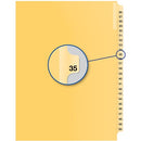 Davis Group Index Divider B14035