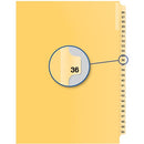 Davis Group Index Divider B14036