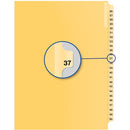 Davis Group Index Divider B14037