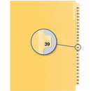 Davis Group Index Divider B14039