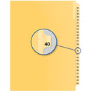 Davis Group Index Divider B14040