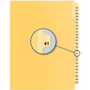 Davis Group Index Divider B14041