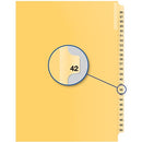 Davis Group Index Divider B14042