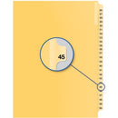 Davis Group Index Divider B14045