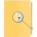 Davis Group Index Divider B14046