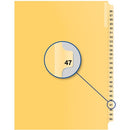 Davis Group Index Divider B14047