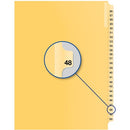 Davis Group Index Divider B14048