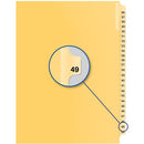 Davis Group Index Divider B14049