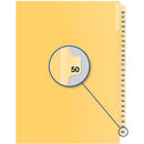Davis Group Index Divider B14050