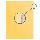 Davis Group Index Divider B17400