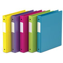 Davis Group Ring Binder 230616 (1 Single Binder Only)