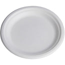 Leaf 10" Dinner Plates BGP10500