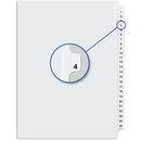 Davis Group Index Divider W04004