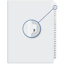Davis Group Index Divider W04002