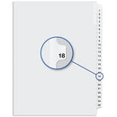 Davis Group Index Divider W04018