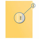 Davis Group Index Divider B17500