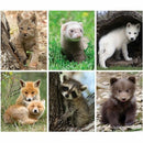 GEO Portfolio GA0123