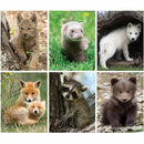 GEO Portfolio GA0023