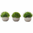 Monarch Specialties Artificial Plant - 3pcs / 5"H Grass in a 3" G I9589