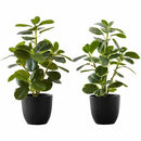 Monarch Specialties Artificial Plant - 2pcs / 14"H Ficus Elastica I9585