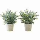 Monarch Specialties Artificial Plant - 2pcs / 13"H Eucalyptus/ Gr I9581