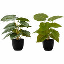 Monarch Specialties Artificial Plant - 2Pcs / 13"H Epipremnum / 4 I9583