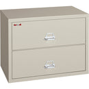 FireKing Insulated 2-Drawer Lateral Records File 23822CPA