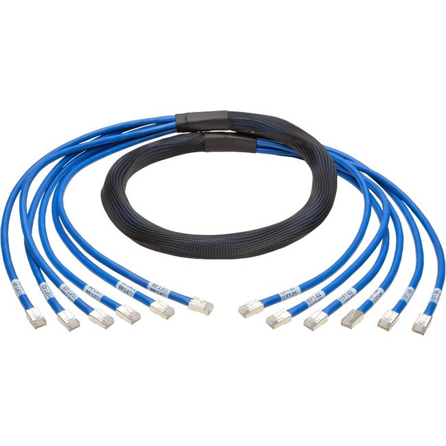 Tripp Lite N261-010-6MM-BL Cat.6a Patch Network Cable