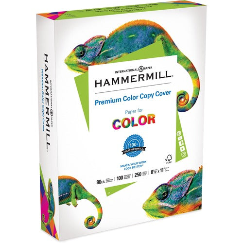 Hammermill Paper for Color 8.5x11 Inkjet, Laser Printable Multipurpose Card Stock - HAM120023