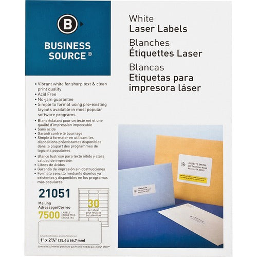Business Source Bright White Premium-quality Address Labels - BSN21051