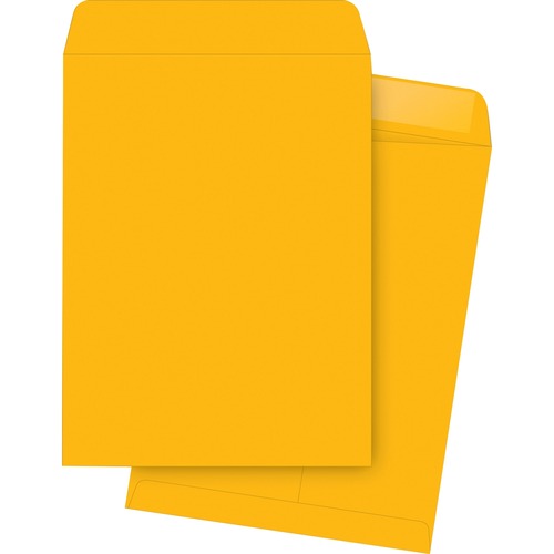 Business Source Kraft Gummed Catalog Envelopes - BSN42114