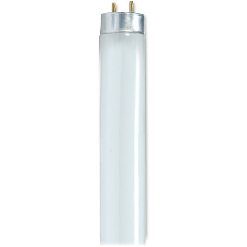 Satco 32-watt 48" T8 Fluorescent Bulbs - SDNS8449