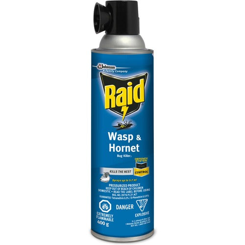 Raid Wasp/Hornet Killer Spray - SJN01776