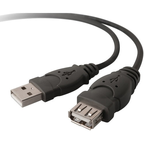 Belkin Pro Series A/A USB Cable - BLKF3U153BT