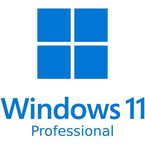 Microsoft Microsoft Windows 11 Pro 64-bit - Box Pack - 1 License MSFHAV00156