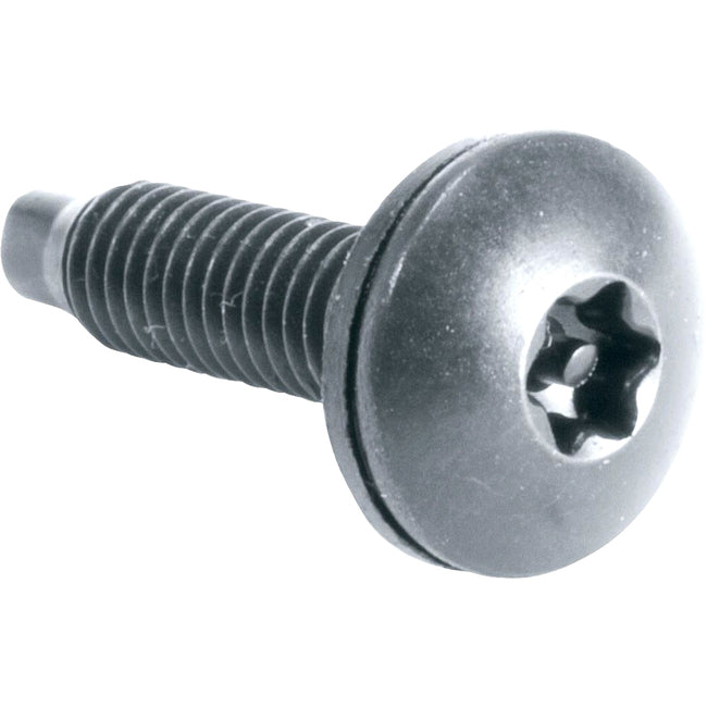 Middle Atlantic Guardian HTX Star Post Security Rack Screw